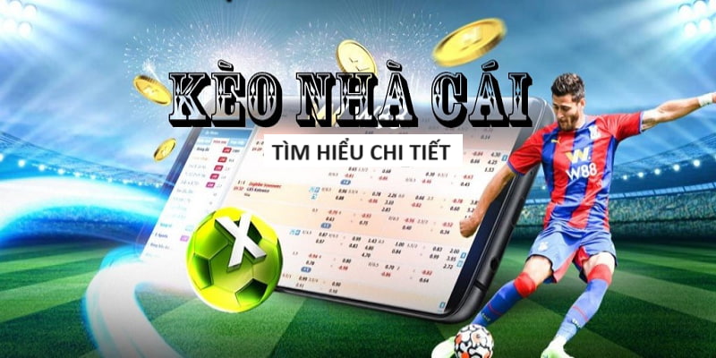 xổ số bạc liêu rồi xổ số bạc liêu rồi